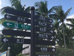 -万绿园