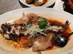 -紫阳家宴(源深店)