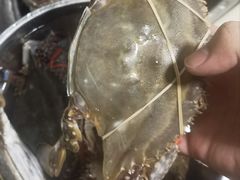 -王四营海鲜市场