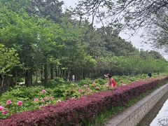 -洛阳市隋唐城遗址植物园