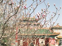 -中国紫檀博物馆