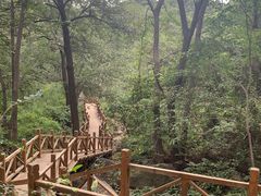 -大岭沟猕猴桃谷风景区
