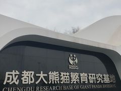 景点-成都大熊猫繁育研究基地