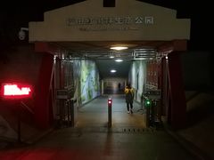 -福田红树林生态公园