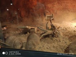 -酷嗒动物文化乐园(cutezoo西溪乐天城店)