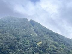 -梧桐山风景名胜区