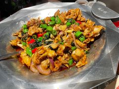 -蛙小侠(珠海华发商都店)