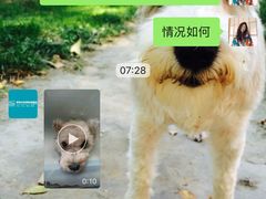 -美联众合动物医院·24h京西诊疗中心