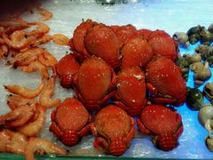 -长沙三景韦尔斯利酒店·Oval全日制餐厅自助餐