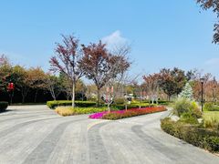 -上海山野camping·户外天幕烧烤·团建拓展营地