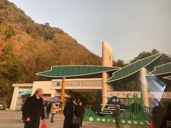 -江西阳明山国家森林公园