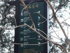 -北京凤凰岭