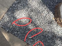 -东钱湖小普陀景区