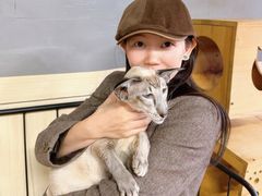-豆逗聊愈猫阁Easy Life