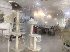 大堂-共舞时光猫咖·狗咖(新街口店)