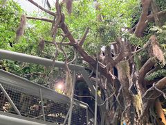 -长江文明馆