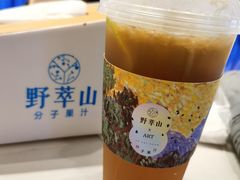 -野萃山·潮汕厚果汁(十亩地店)