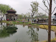 -渤公岛生态公园