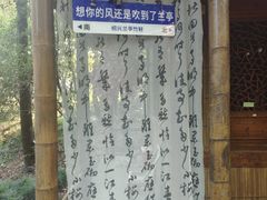 -兰亭风景区