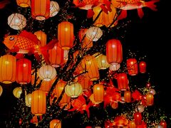 -龙湖星悦荟(颐和店)