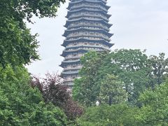 -红梅公园