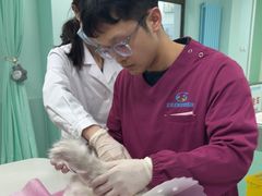 -北京观赏动物医院·24小时大型综合·猫专科·异宠专科
