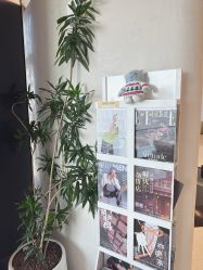 -智美品质医美