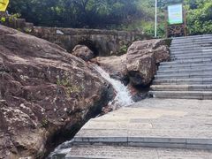 -东莞市大岭山森林公园