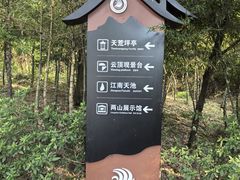 -江南天池