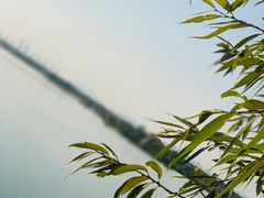 -贡湖湾湿地公园