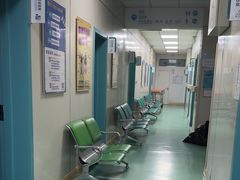 -北京观赏动物医院·24小时大型综合·猫专科·异宠专科