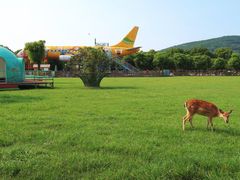 -苏州太湖西山岛开心农场