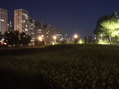 -长白岛森林公园