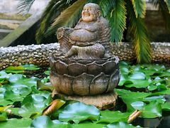 -都江堰普照寺