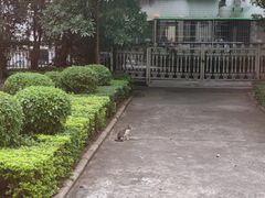 -厦门悦华酒店