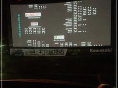 -枫花园汽车电影院(朝阳公园店)