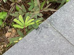-情侣路