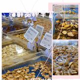 魔都首家T11超市逛吃
