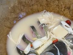 -老福耶小草帽石锅鱼(奥体店)