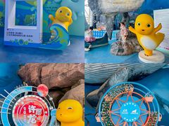 -海合安天津极地海洋公园