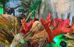 -恐龙探索乐园(磁器口店)