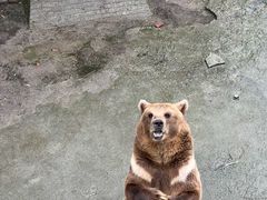 -哈尔滨北方森林动物园