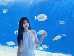 -合肥海洋世界