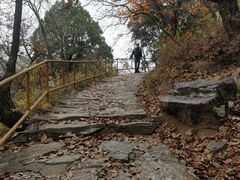 -北京上方山国家森林公园