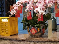 -佛山顺德香云纱园林酒店(清晖园店)