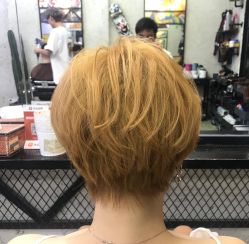 -SALON V