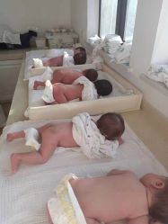 -海豚湾高端月子会所(黄浦店)