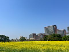 -光明小镇欢乐田园