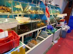 -船奇蒸汽海鲜·闽菜(八市海鲜总店)