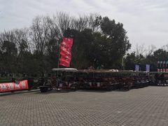 -上海海湾国家森林公园